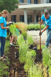 Landscaping