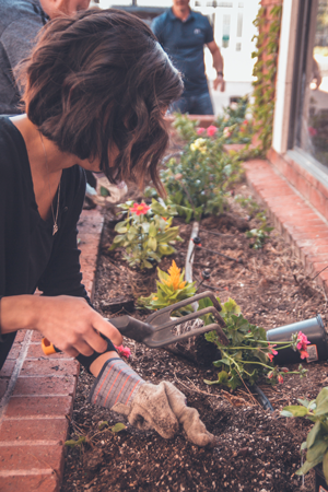 Garden Maintenance