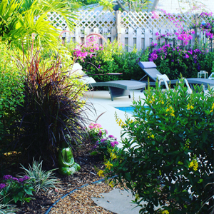 Patio Cleaning